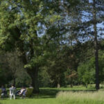 stagiaires dans parc arboré